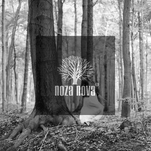 noza-nova-destination-4.jpg